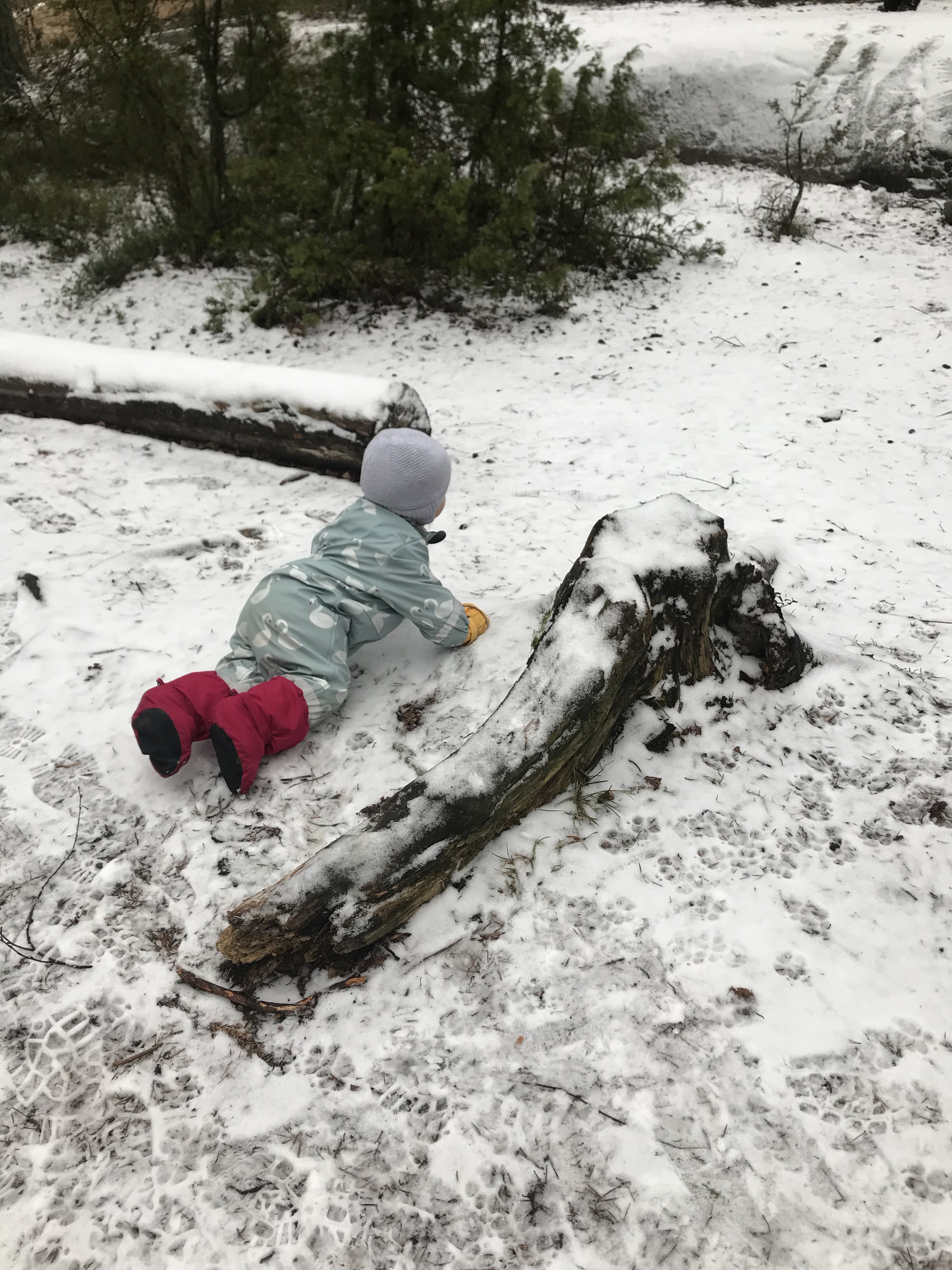 SdZrMpNJRdy4JTGuppa6KQ